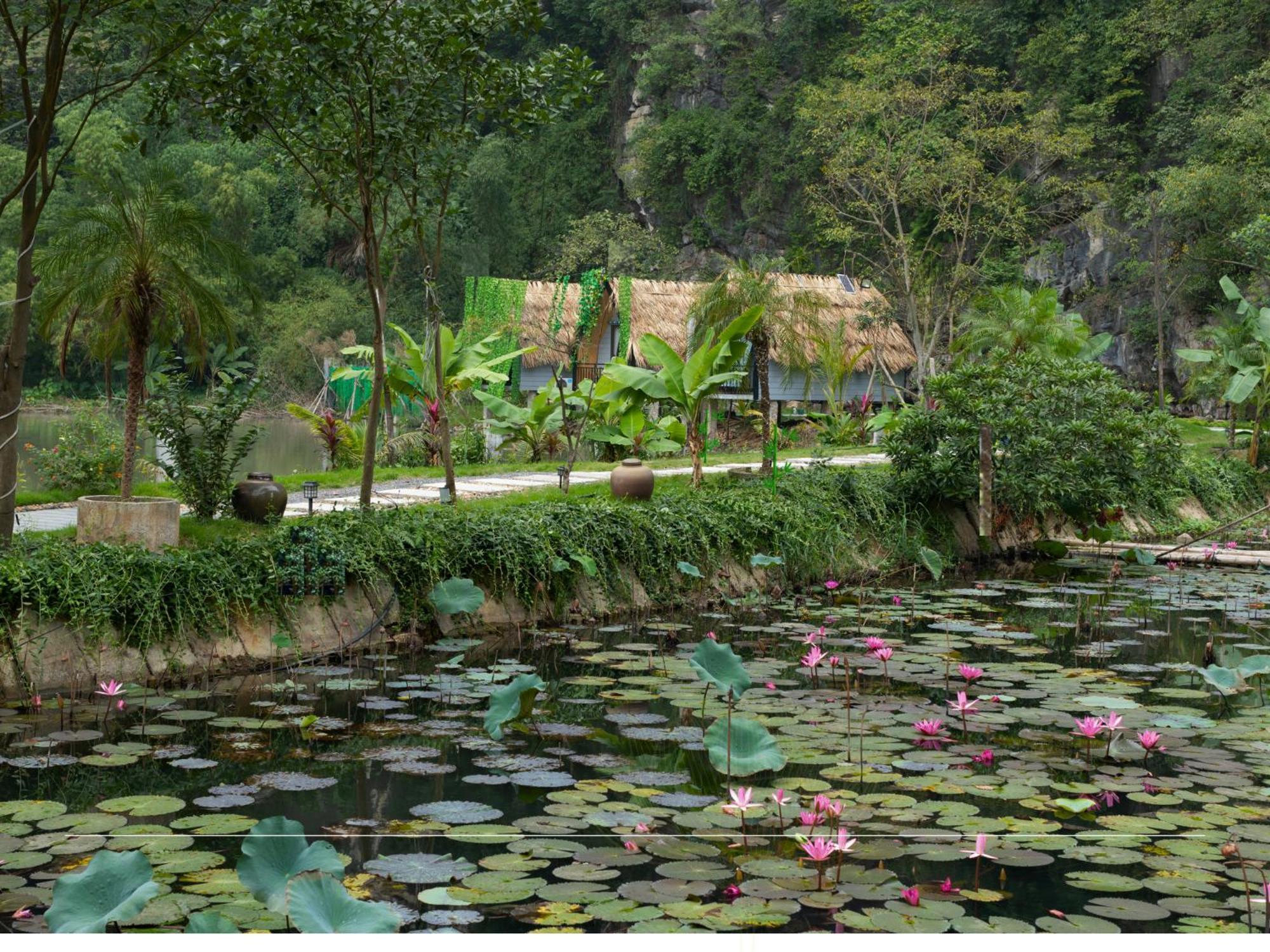 Hoang Minh Mountainside Villa Ninh Bình Exteriör bild