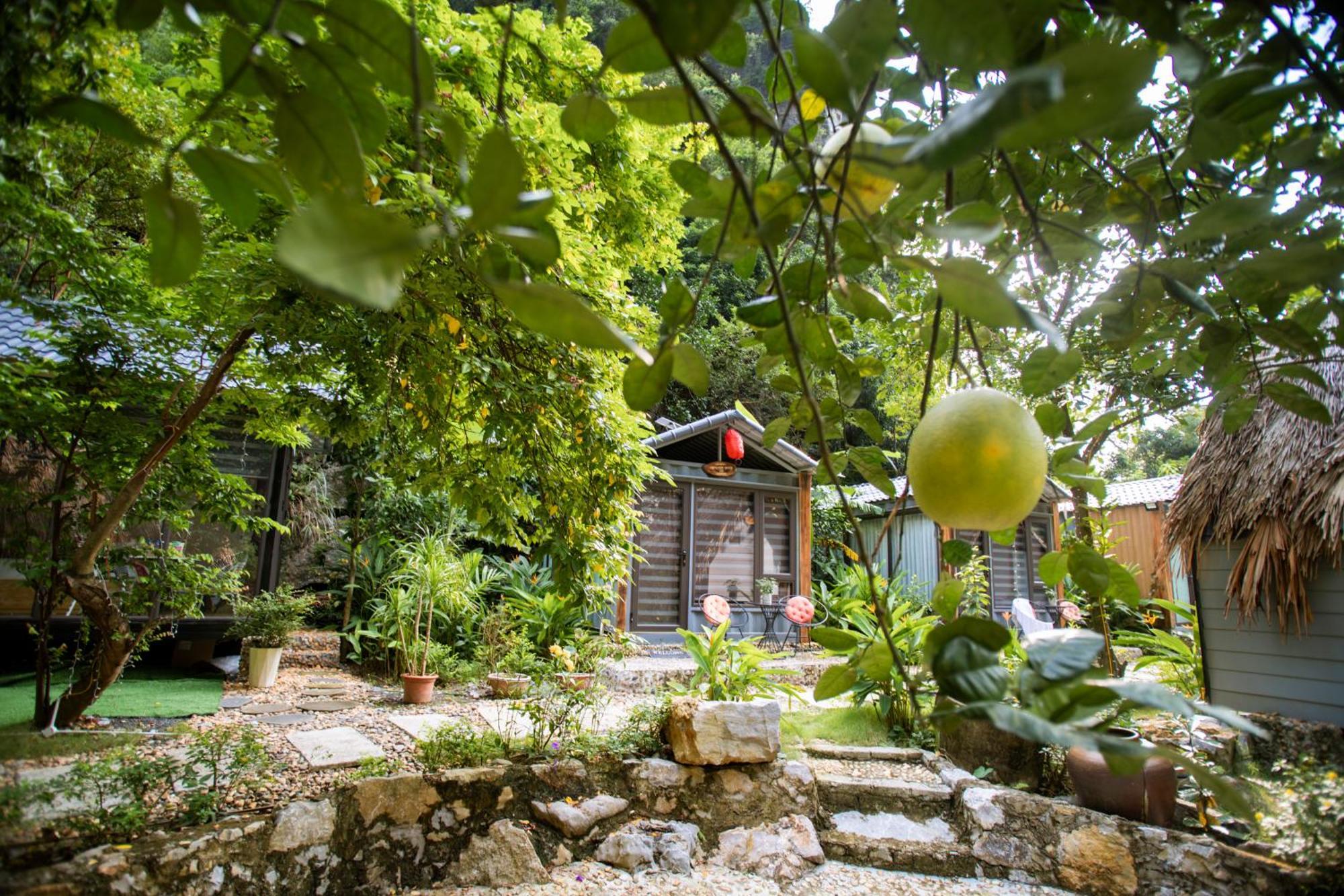 Hoang Minh Mountainside Villa Ninh Bình Exteriör bild